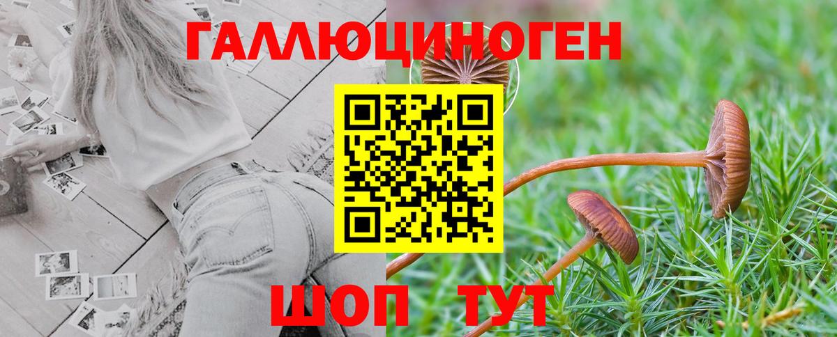 Галлюциногенные грибы мицелий  Вход с VPN  Пугачёв  Псилоцибиновые грибы GOLDEN TEACHER 
